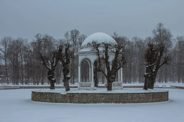 Снегопад Таллине Зимой Острове Посреди Пруда Эстония — стоковое фото