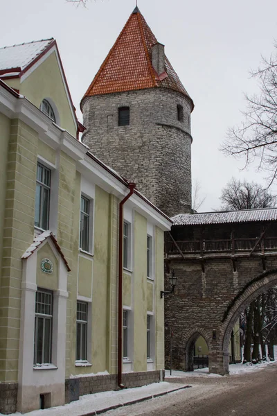 Историческая Башня Обороны Старом Городе Зимой Эстония — стоковое фото