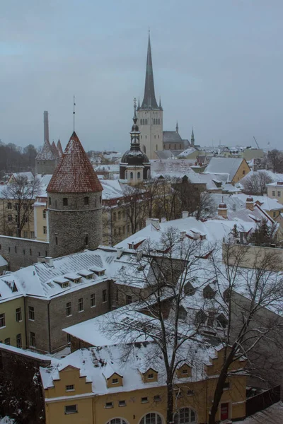Вид Исторический Старый Город Таллинна Зимой Эстония — стоковое фото