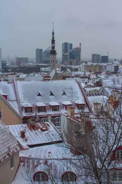 Vista Del Casco Antiguo Histórico Tallin Invierno Países Bajos — Foto de Stock