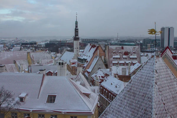 Tarihi Tallinn Kasabası 'nın kışın manzarası. Estonya