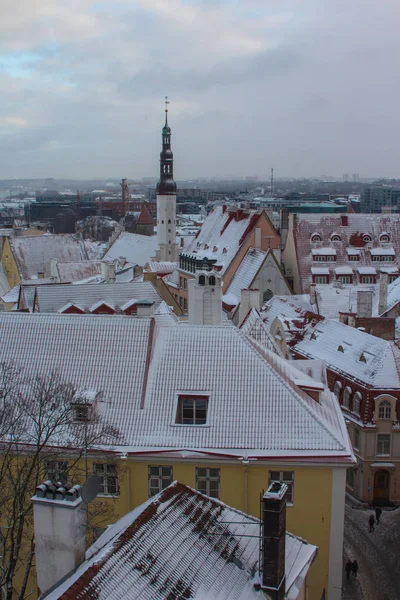 Vista Del Casco Antiguo Histórico Tallin Invierno Países Bajos —  Fotos de Stock