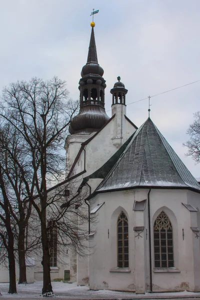 Widok Katedry Najświętszej Marii Panny Tallinie Estonia — Zdjęcie stockowe