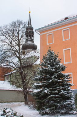 Tallinn 'deki Aziz Meryem Katedrali manzarası. Estonya