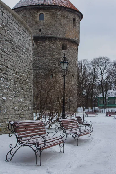 Деревянные Скамейки Возле Исторической Стены Старом Городе Таллинна Эстония — стоковое фото