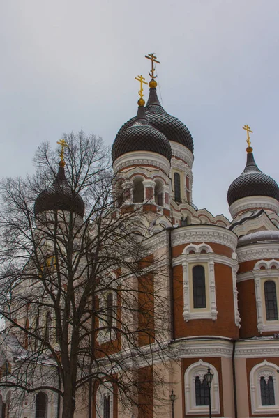 Tallinn Deki Alexander Nevsky Katedrali Manzarası Estonya — Stok fotoğraf