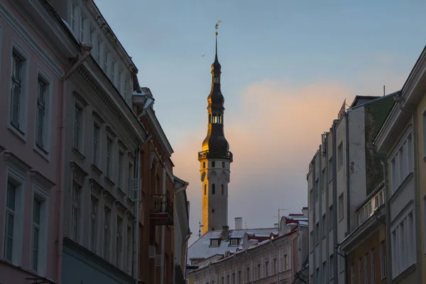 Tallinn Eski Kasabası Ndaki Belediye Kulesinin Kışın Gün Batımında Görüntüsü — Stok fotoğraf