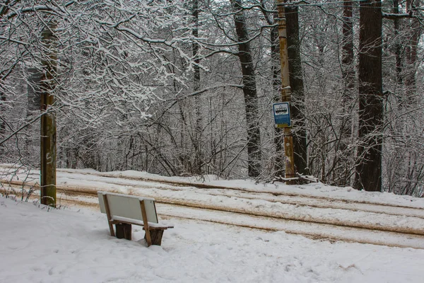 Träbänk Spårvagnshållplats Snötäckt Skog Kiev Ukraina — Stockfoto