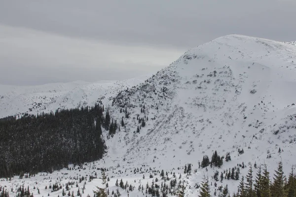 Vista Montaña Hoverla Cubierta Nieve Montaña Más Alta Ucrania — Foto de Stock
