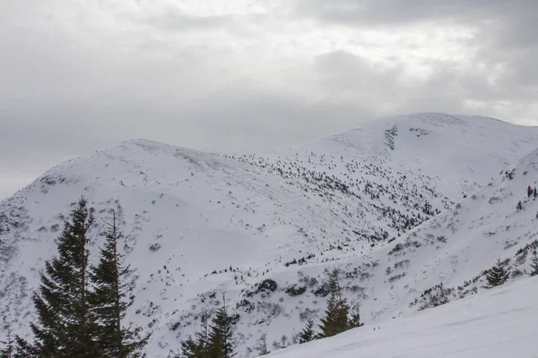 View Snow Covered Hoverla Mountain Highest Mountain Ukraine Royalty Free Stock Photos