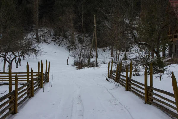 ヤレムチェのカルパティア村の冬の道路 ウクライナ — ストック写真