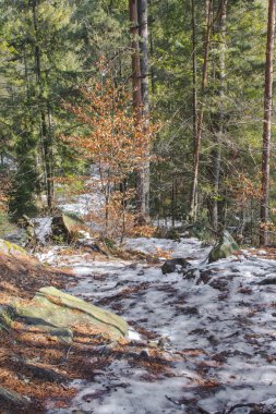 Kışın Yaremche köyü yakınlarındaki yürüyüş parkurunda resim gibi uçurumlar. Ukrayna