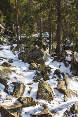 Kışın Yaremche köyü yakınlarındaki yürüyüş parkurunda resim gibi uçurumlar. Ukrayna