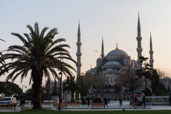 Vue Mosquée Bleue Historique Istanbul Coucher Soleil Turquie — Photo