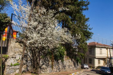Güneşli bir günde İstanbul 'daki geleneksel Türk evi.