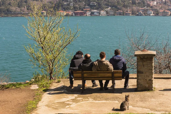 Four guys sit on a bench and look at the Bosphorus. A cat sits next to it. Istanbul. Turkey