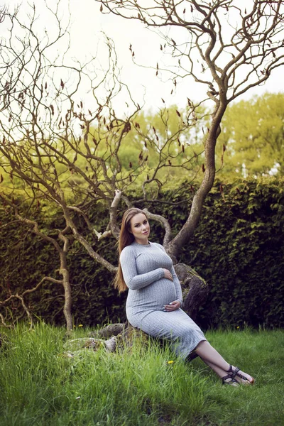 Belle femme enceinte assise dans un parc sous un arbre . — Photo