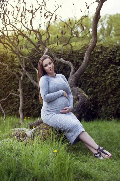 Belle femme enceinte assise dans un parc sous un arbre . — Photo