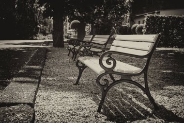 boş banklar parkta