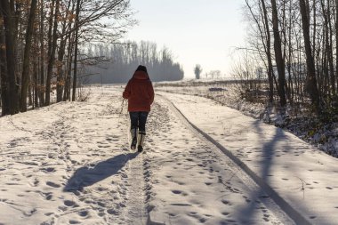 yürüyüş Kış - kış manzara