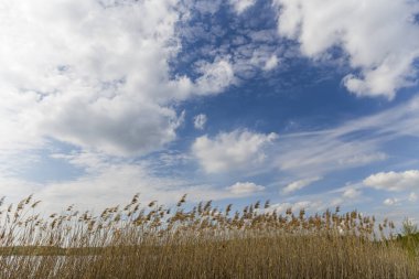güzel bulutlar gökyüzü ve yüksek kuru ot
