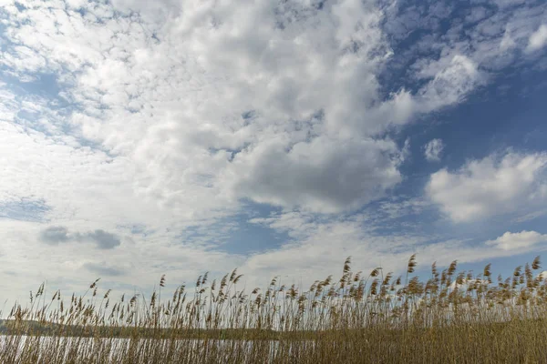 güzel bulutlar gökyüzü ve yüksek kuru ot