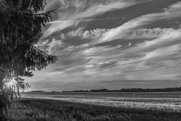 alanın üzerinde dramatik günbatımı