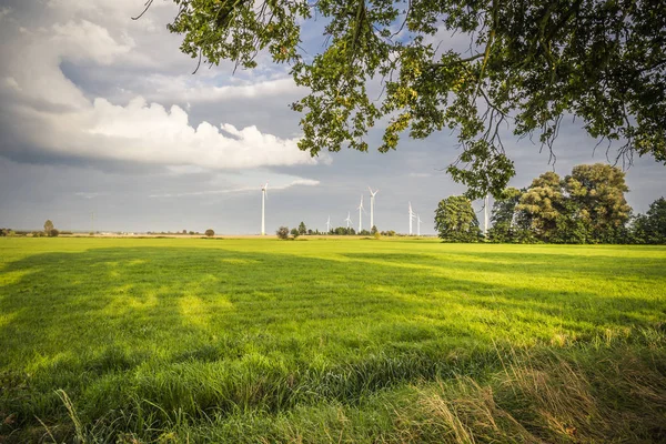 windturbine bir alan üzerinde