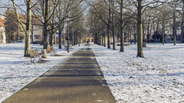 Gera 'da tarihi binalar olan bir parkta güzel manzaralar.