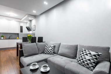 Modern açık düzen fikir ile düz