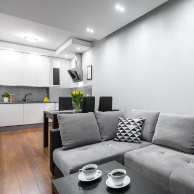 Ev kanepe ve sehpa ile birlikte