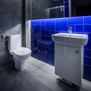 Gri ve mavi banyo fikir