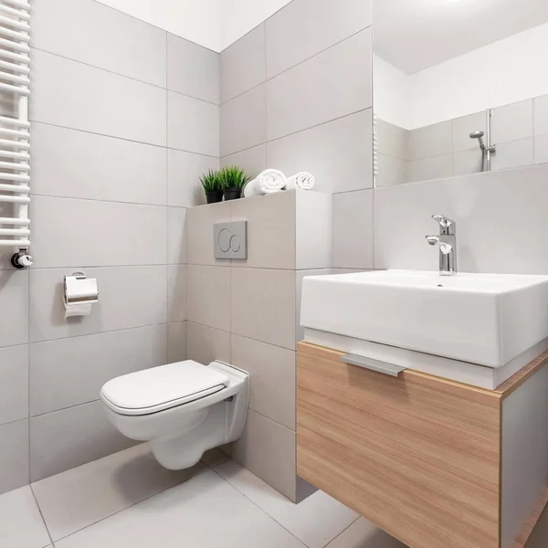 Badkamer met toilet en wastafel — Stockfoto