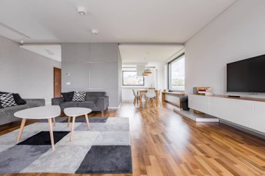 Tv ile geniş oturma odası