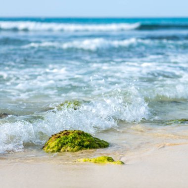 Dalgalar mavi okyanusta