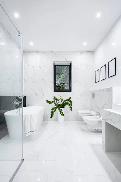 奢华的白色浴室 — 图库照片