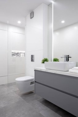Zarif gri ve beyaz banyo.