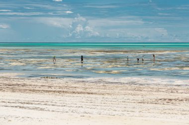 Hint Okyanusu'nda düşük gelgit