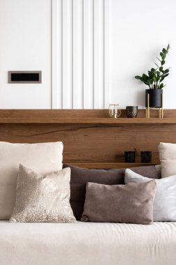 Kanepe ile dekoratif yastıklar