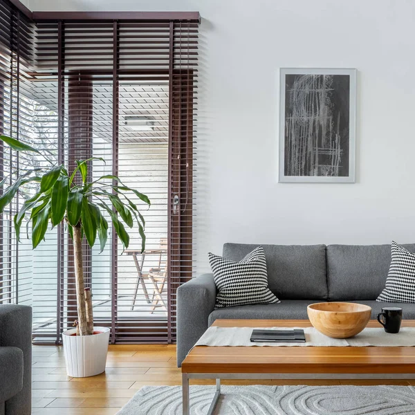 Stilvolles Wohnzimmer Mit Großen Fenstern Mit Holzrollläden Hartholzboden Und Eleganten — Stockfoto