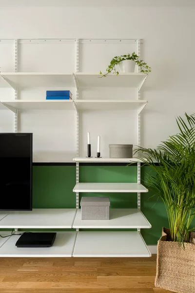 Industrieller Stil Weiße Regale Mit Wenigen Dekorationen Wohnzimmer Mit Grüner — Stockfoto