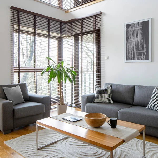 Stilvolles Wohnzimmer Mit Grauen Möbeln Und Großen Fenstern Mit Jalousien — Stockfoto
