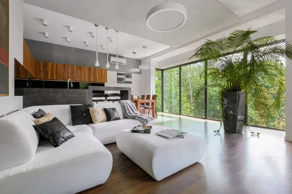 Wohnzimmer Mit Großem Weißem Ecksofa Hocker Und Großer Palmenpflanze — Stockfoto