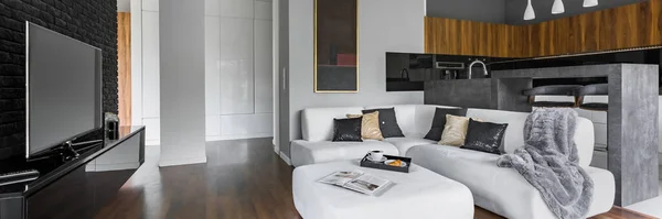 Panorama Apartamento Espaçoso Elegante Com Sala Estar Com Branco Sofá — Fotografia de Stock