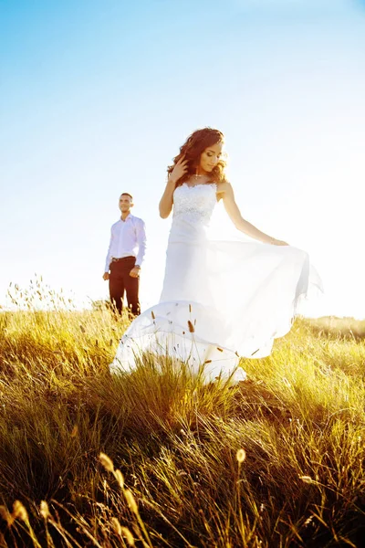 필드, 연인 또는 신혼 완벽 한 하늘 석양에 포즈에 아름 다운 커플 — 스톡 사진