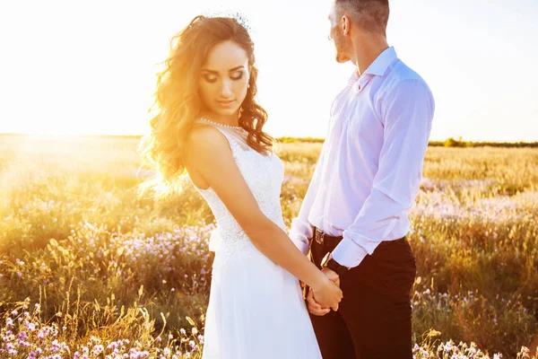 Beautiful couple in field, Lovers or newlywed posing on sunset with perfect sky — Stock Photo, Image