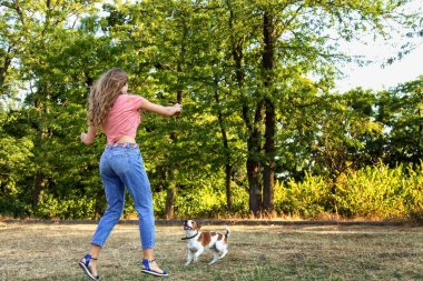güzel kız bir beagle köpek yavrusu ile oynamak