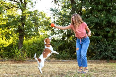 güzel kız bir beagle köpek yavrusu ile oynamak