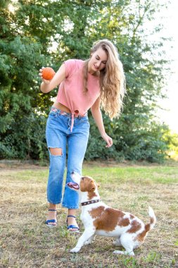 güzel kız bir beagle köpek yavrusu ile oynamak