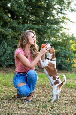 güzel kız bir beagle köpek yavrusu ile oynamak